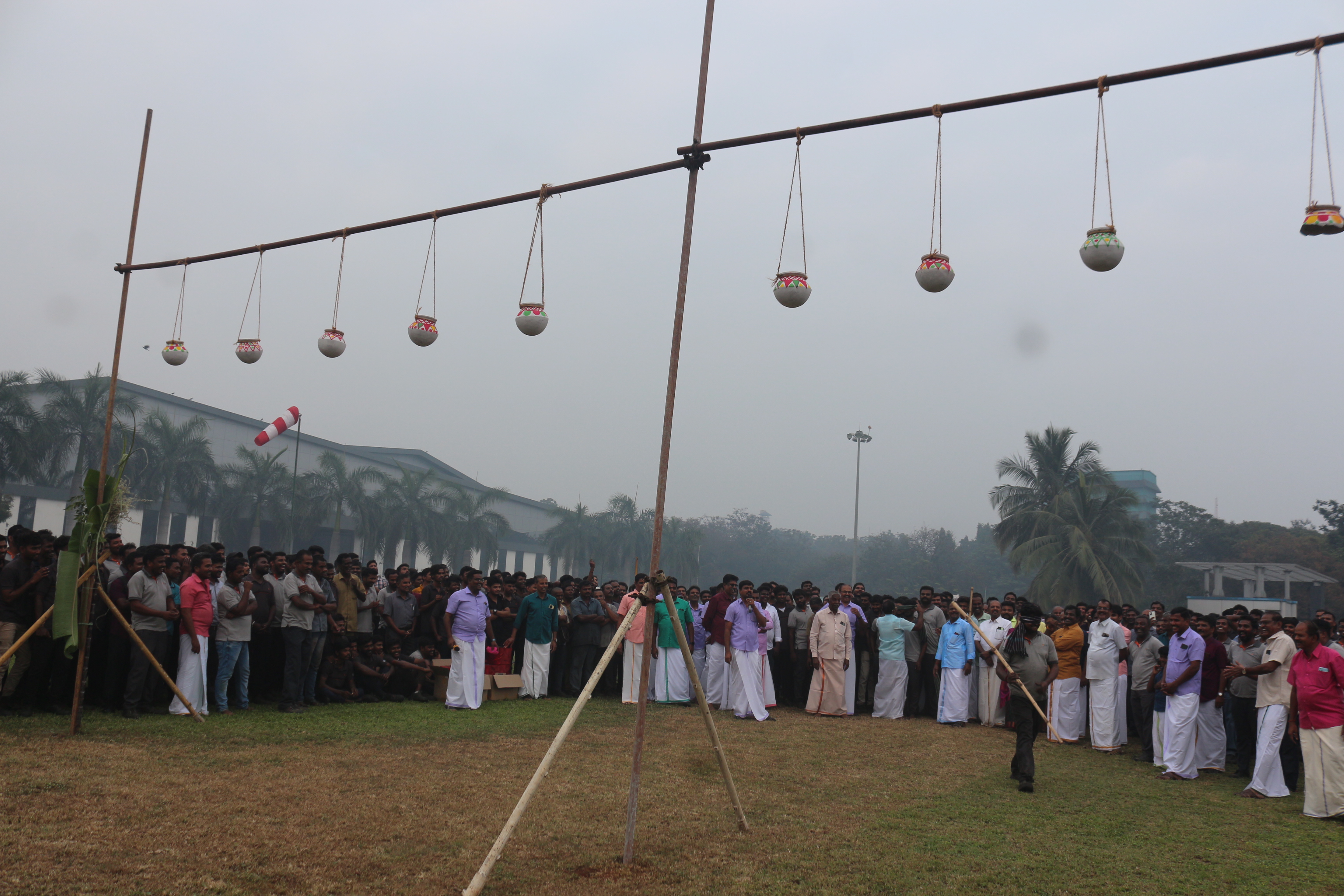 Pongal 7